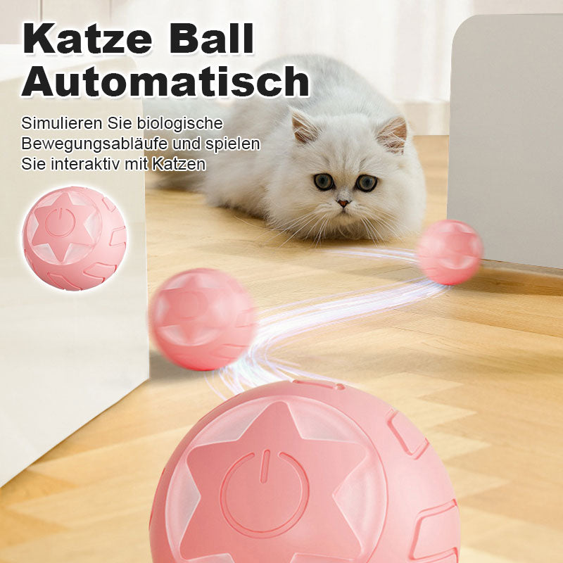 Automatischer Tease-Katzenball