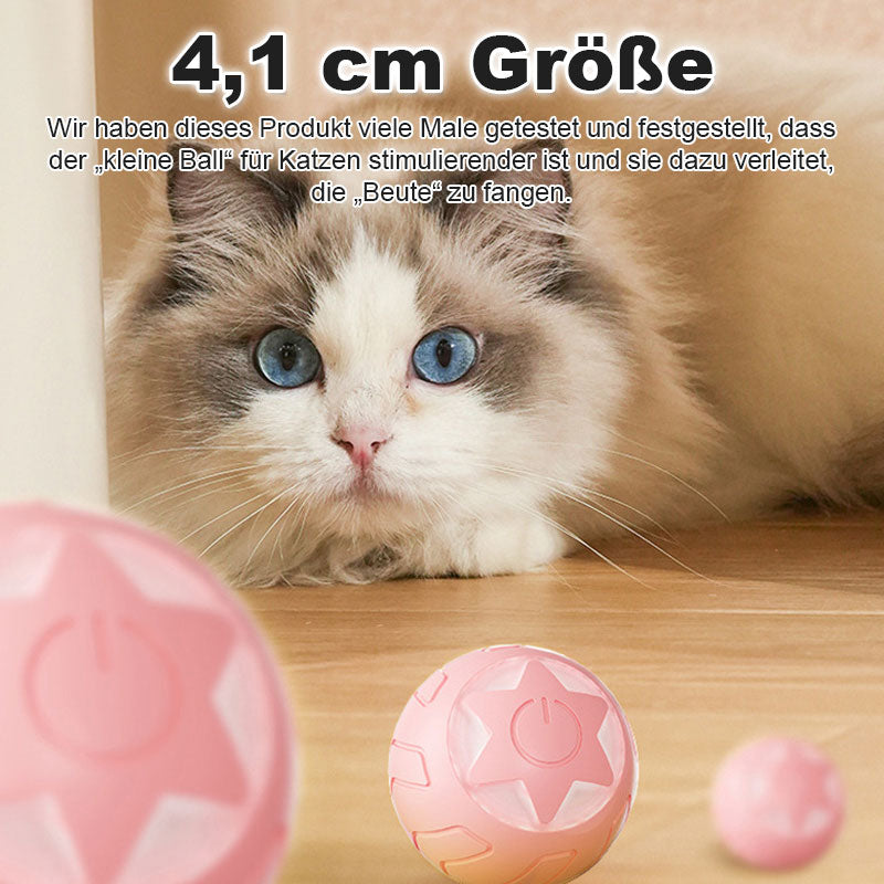 Automatischer Tease-Katzenball