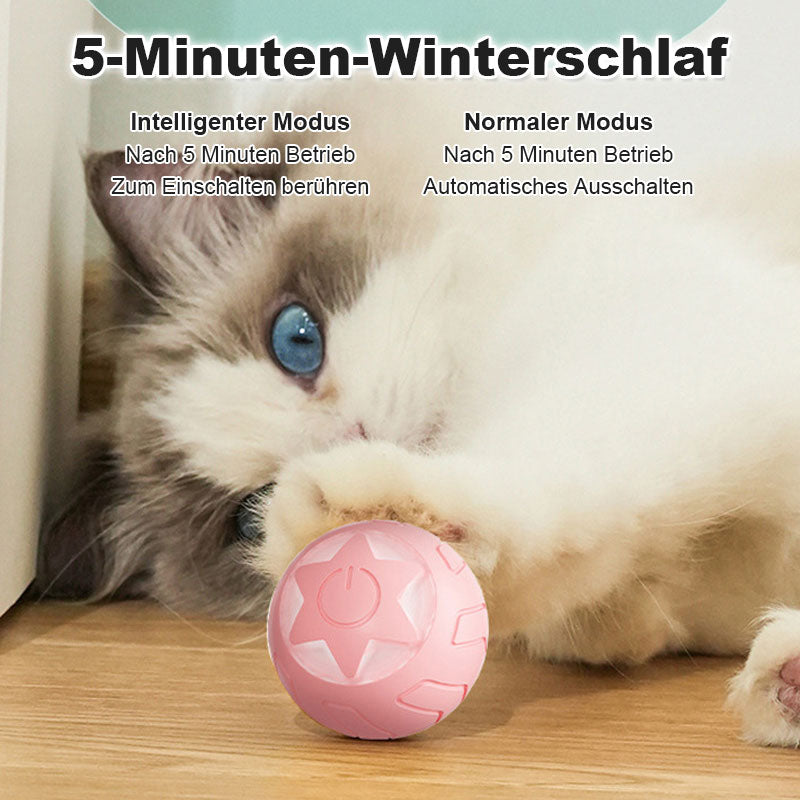 Automatischer Tease-Katzenball