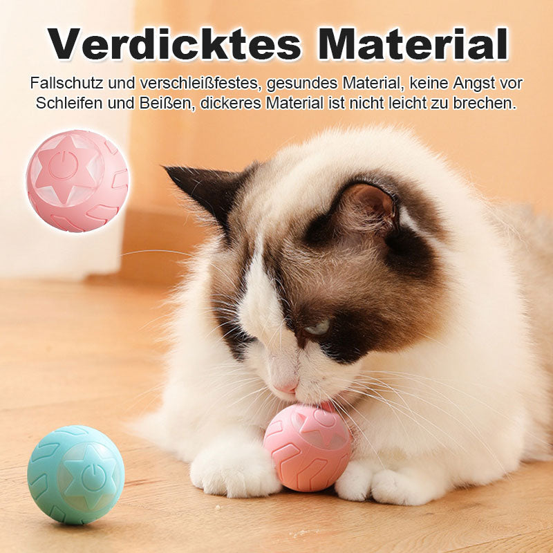 Automatischer Tease-Katzenball